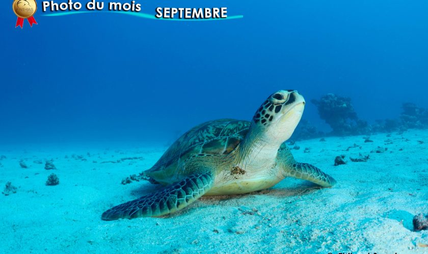 Photo du mois Septembre 2024