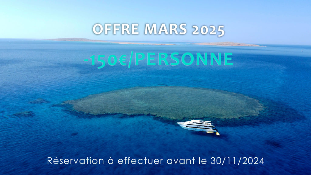 offre mars 2025